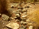 rockypath_s.jpg